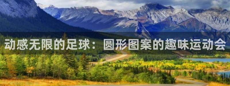 雷鸟体育app下载官网