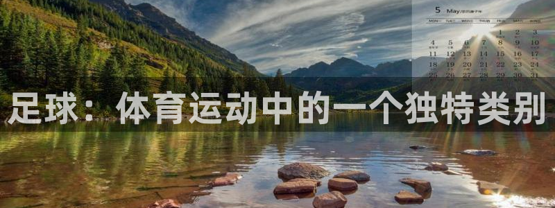 雷鸟体育app下载官网：足球：体育运动中的一个独特类别