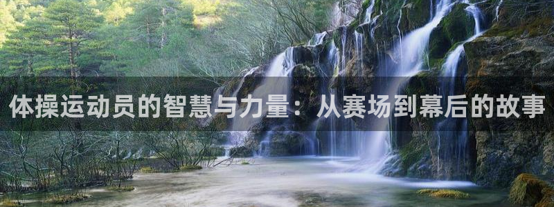 雷鸟体育app下载官网