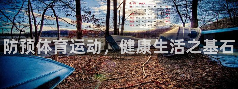 雷鸟体育正版下载：防预体育运动，健康生活之基石