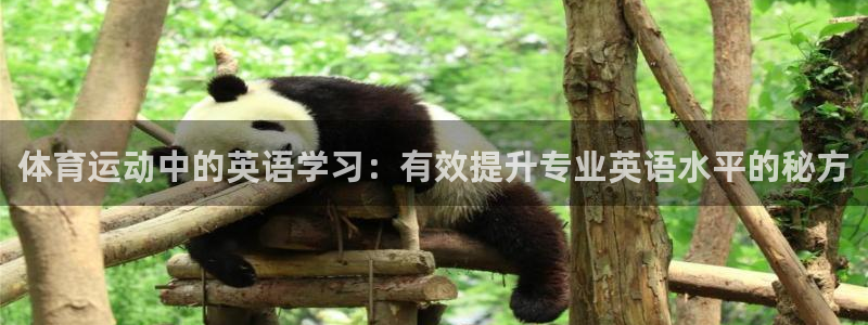雷鸟体育苹果怎么下载：体育运动中的英语学习：有效提升专业英语水平的秘方