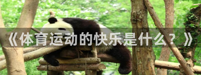 雷鸟体育：《体育运动的快乐是什么？》