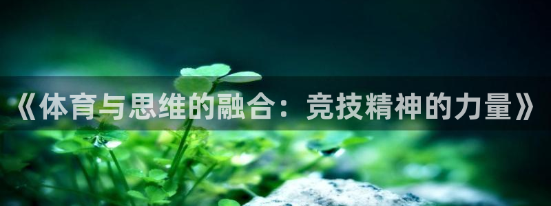雷鸟体育免费直播软件下载