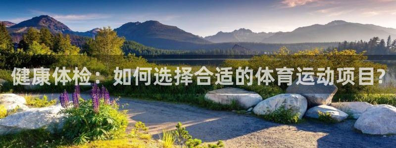 雷鸟体育官网入口