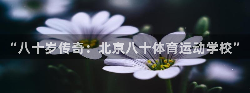 关键词