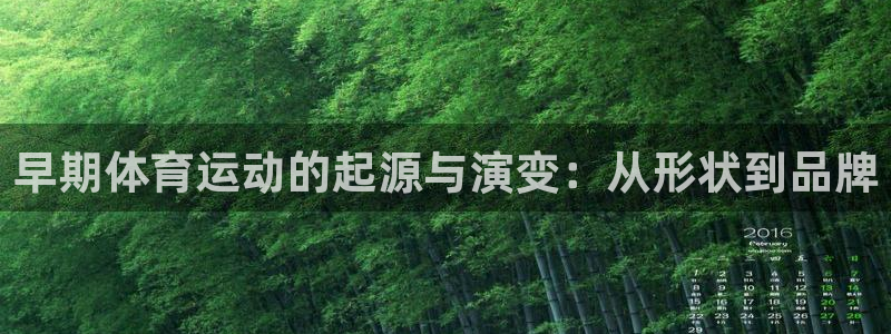 雷鸟体育