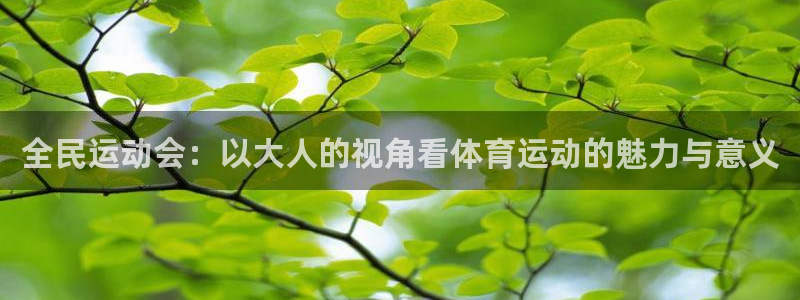关键词：全民运动会：以大人的视角看体育运动的魅力与意义