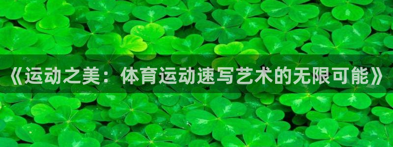 雷鸟体育官网入口：《运动之美：体育运动速写艺术的无限可能》